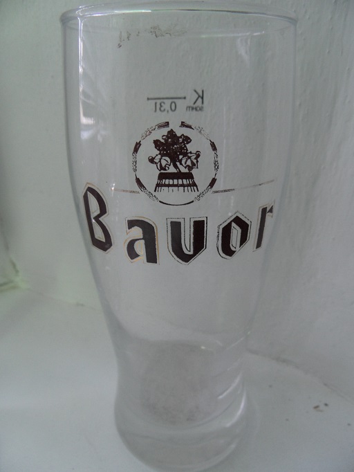 Bavor2